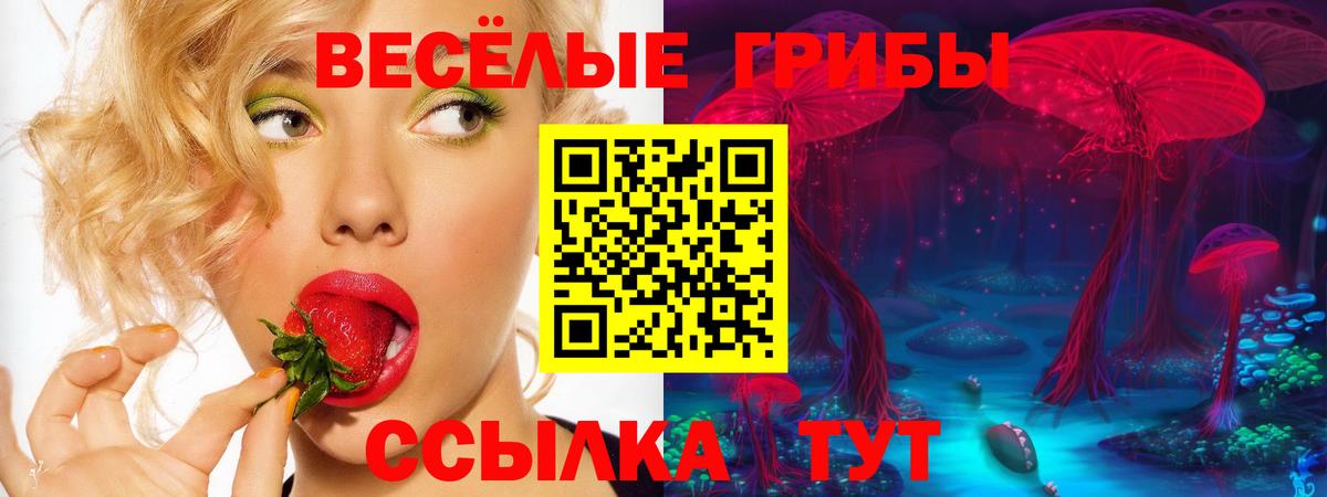 Псилоцибиновые грибы GOLDEN TEACHER  Галлюциногенные грибы Cubensis  Вход с VPN  Чебаркуль 