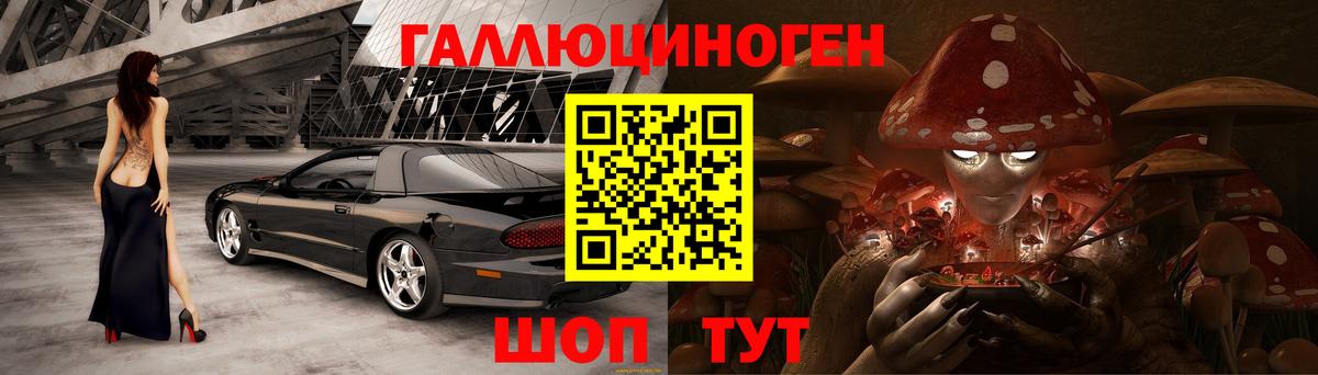 Псилоцибиновые грибы Psilocybine cubensis Чебаркуль
