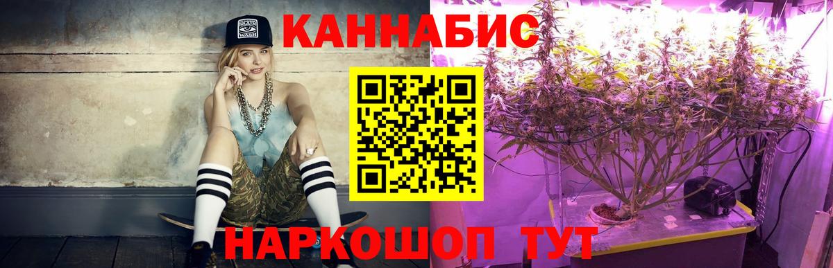 Каннабис OG Kush  Конопля Bruce Banner  Чебаркуль  Конопля семена  Каннабис марихуана  Вход с VPN 